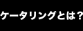 ケータリングとは？