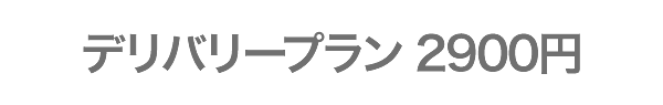 デリバリープラン2900